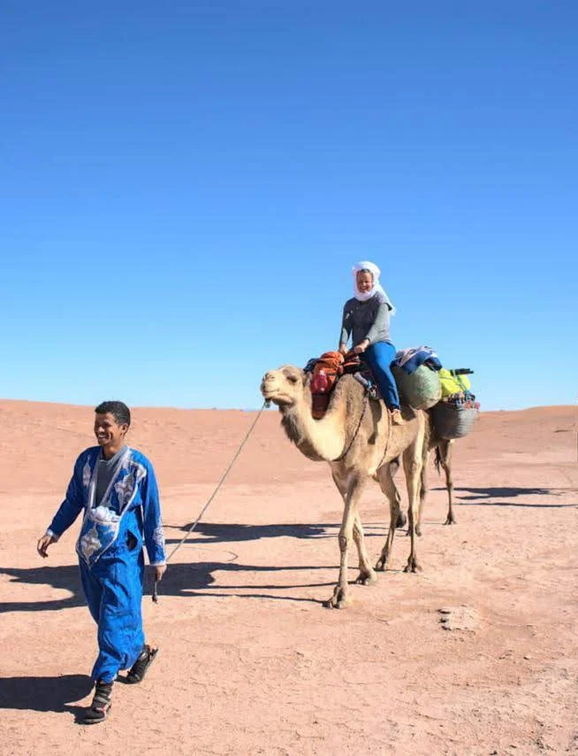 Camel trekking in the Sahara desert