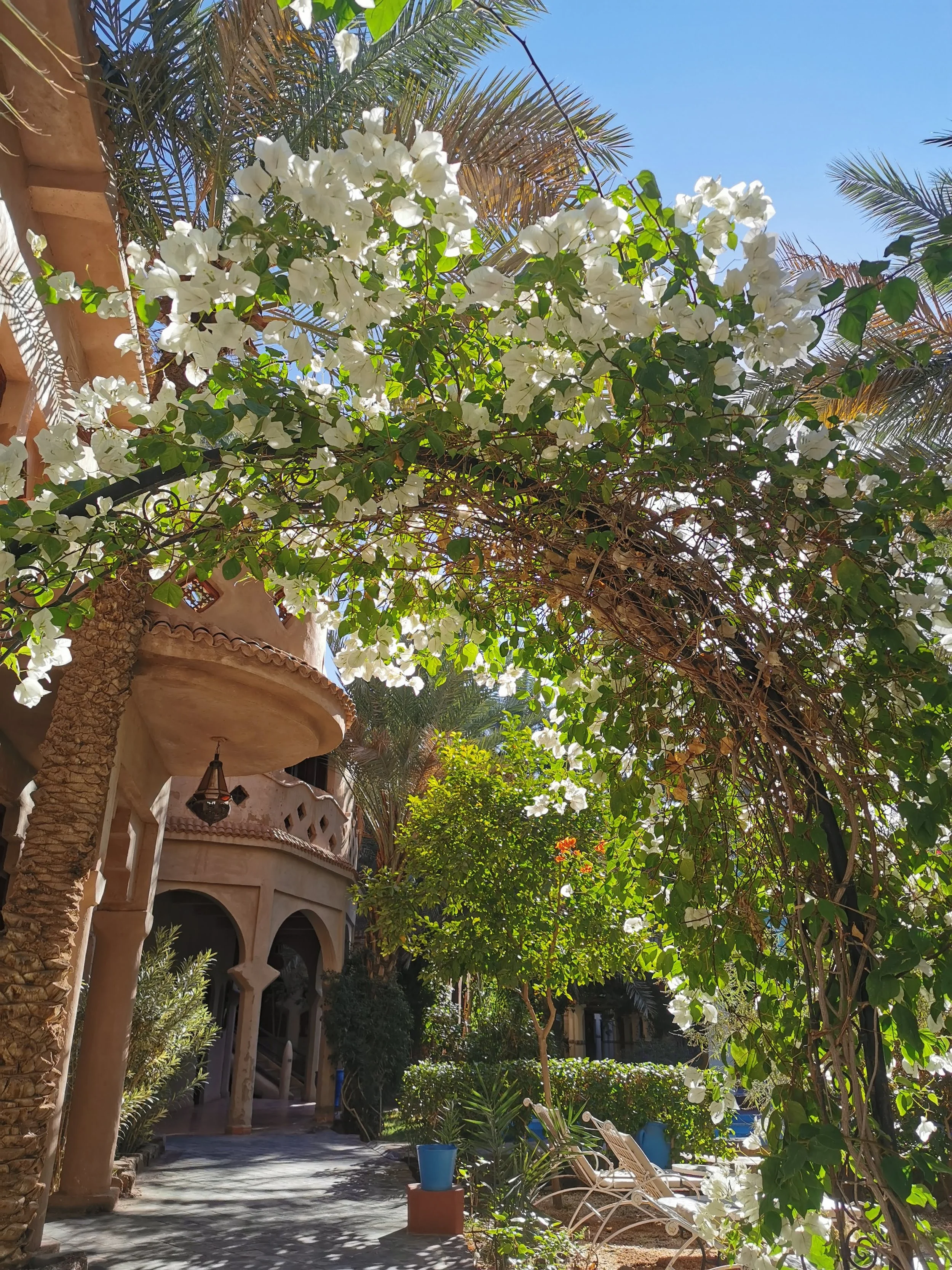 Riads, kasbahs, and desert camps in Morocco