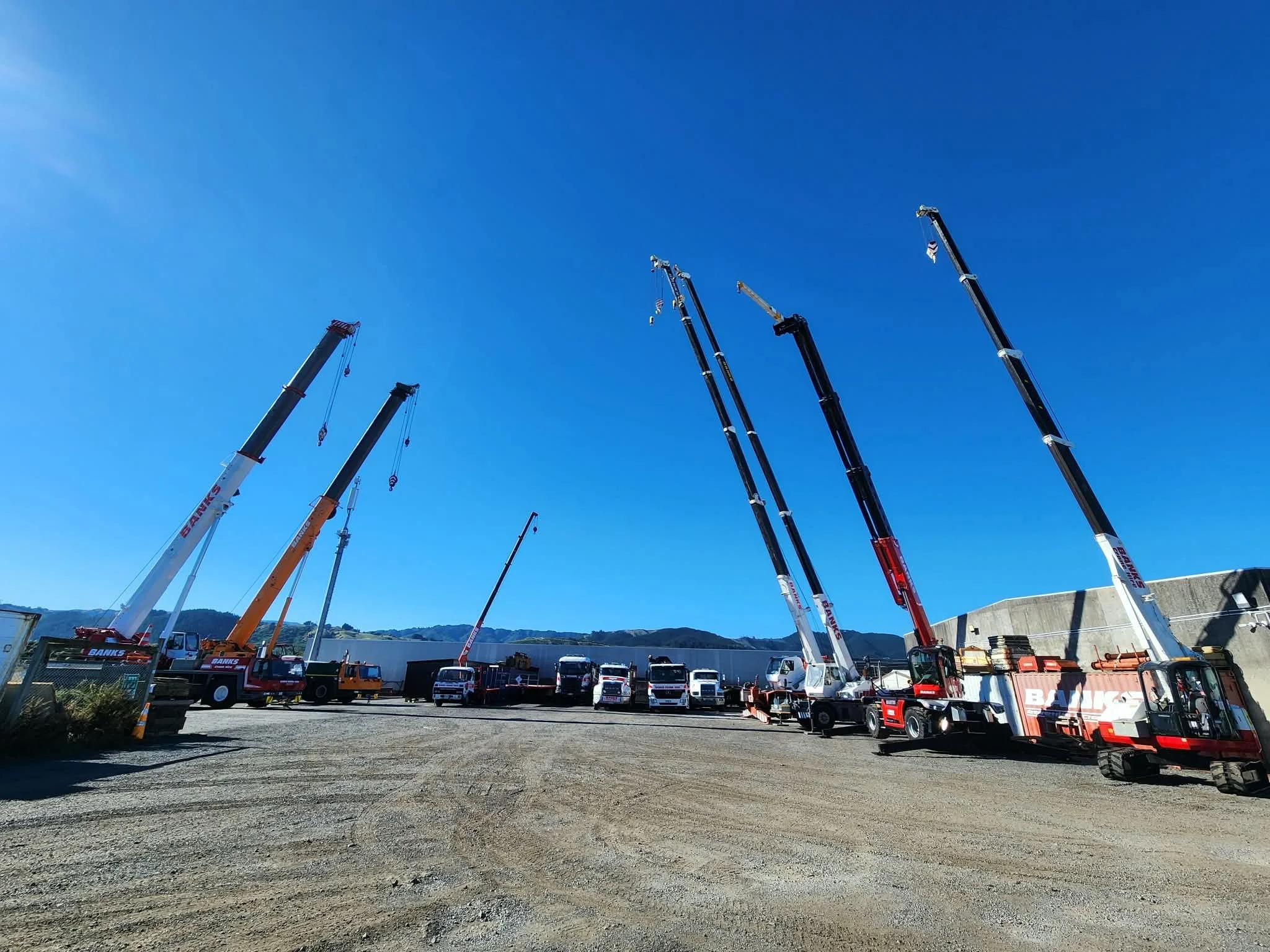 Banks cranes in the yard
