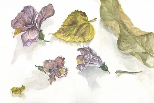 The Fall of 2016 - a fine-art print of Neha Tandon's watercolour on paper, 23 × 17 in · 58 × 43 cm