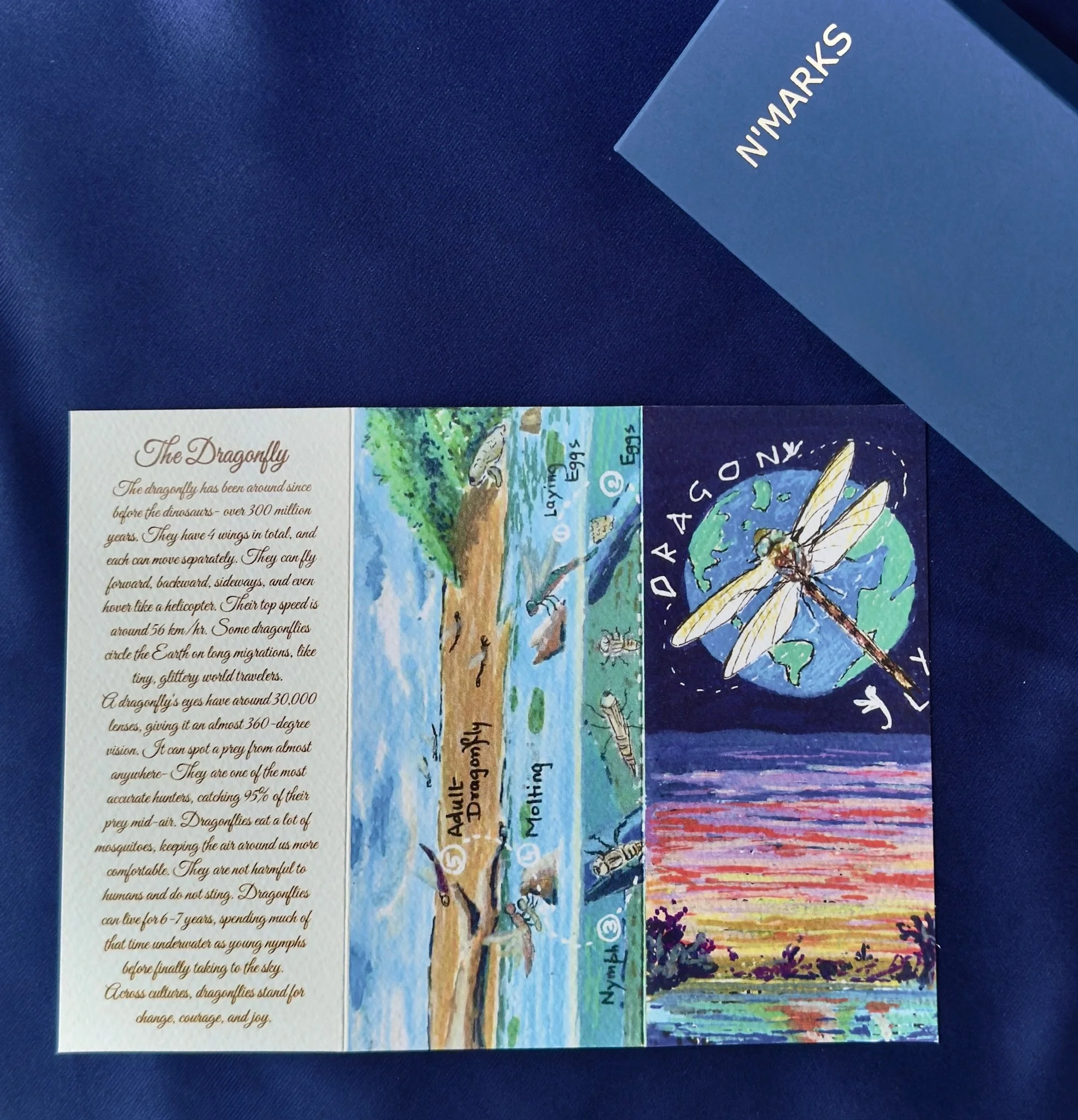 N'marks Dragonfly Bookmark — product flat lay showing bookmark, story card and lifecycle card