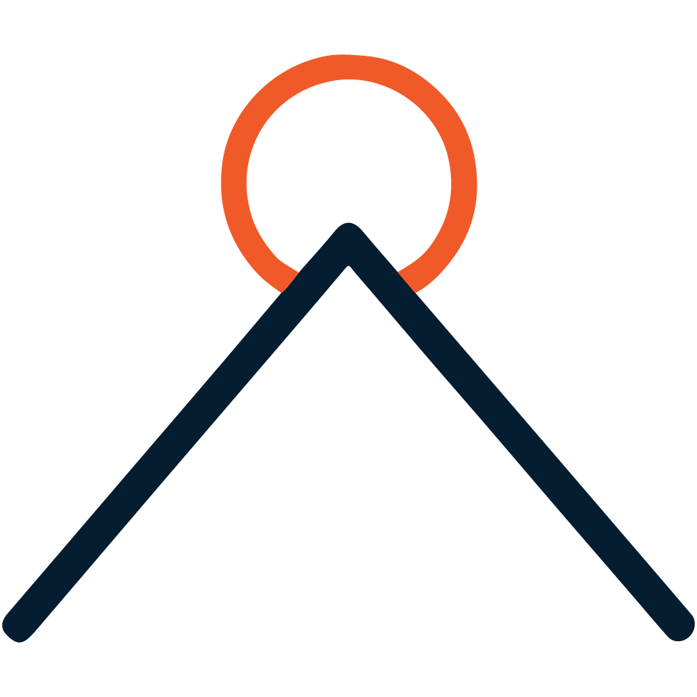 Alma Vista Management Group