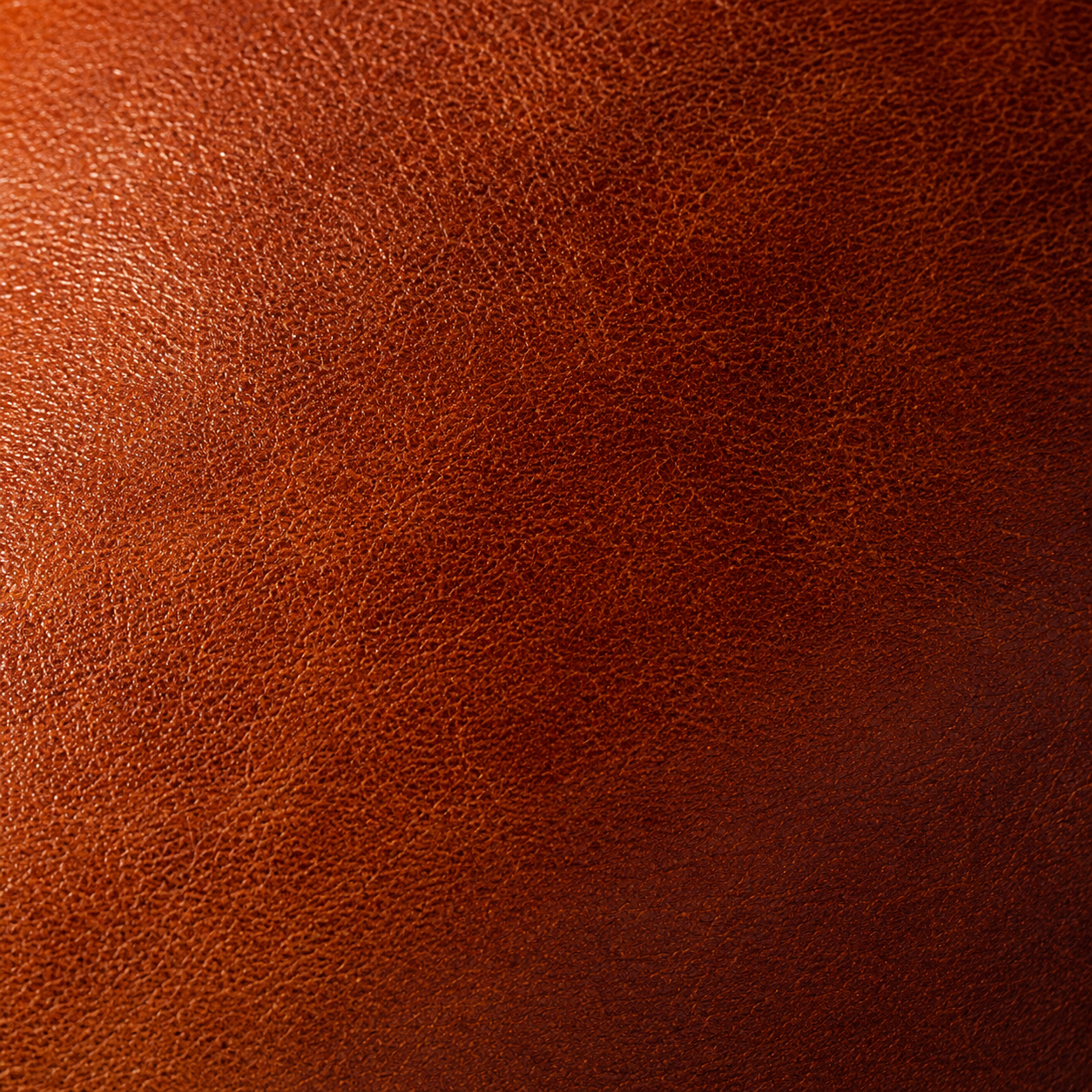 Sandstone tan calfskin grain macro