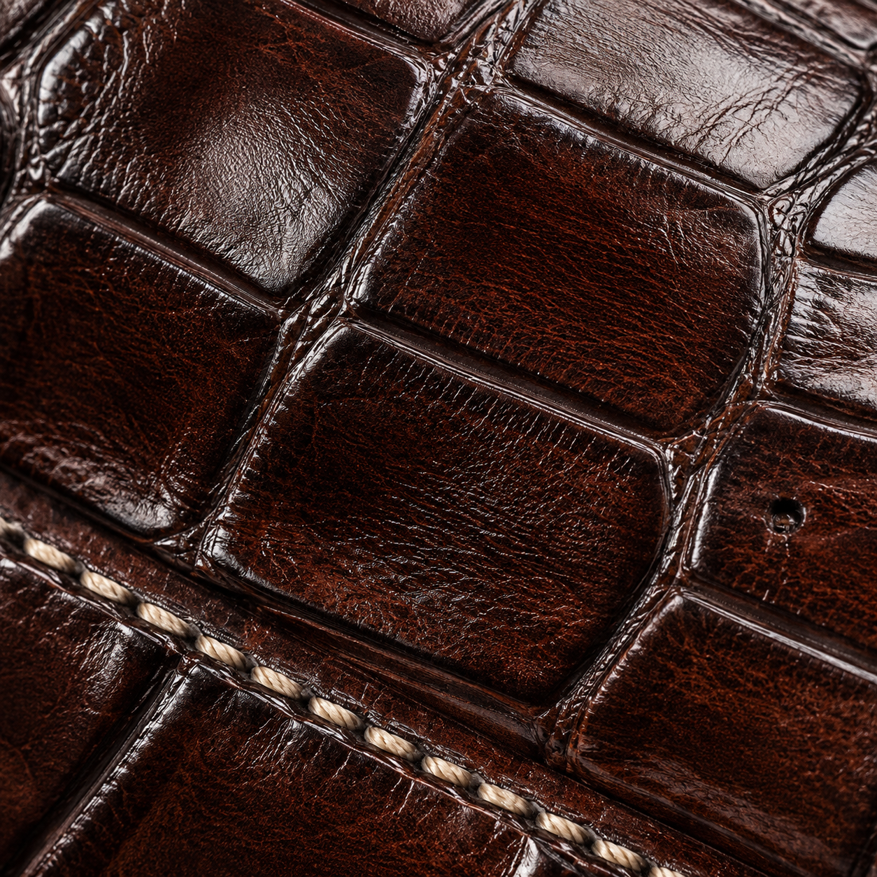 Sandstone tan calfskin grain macro