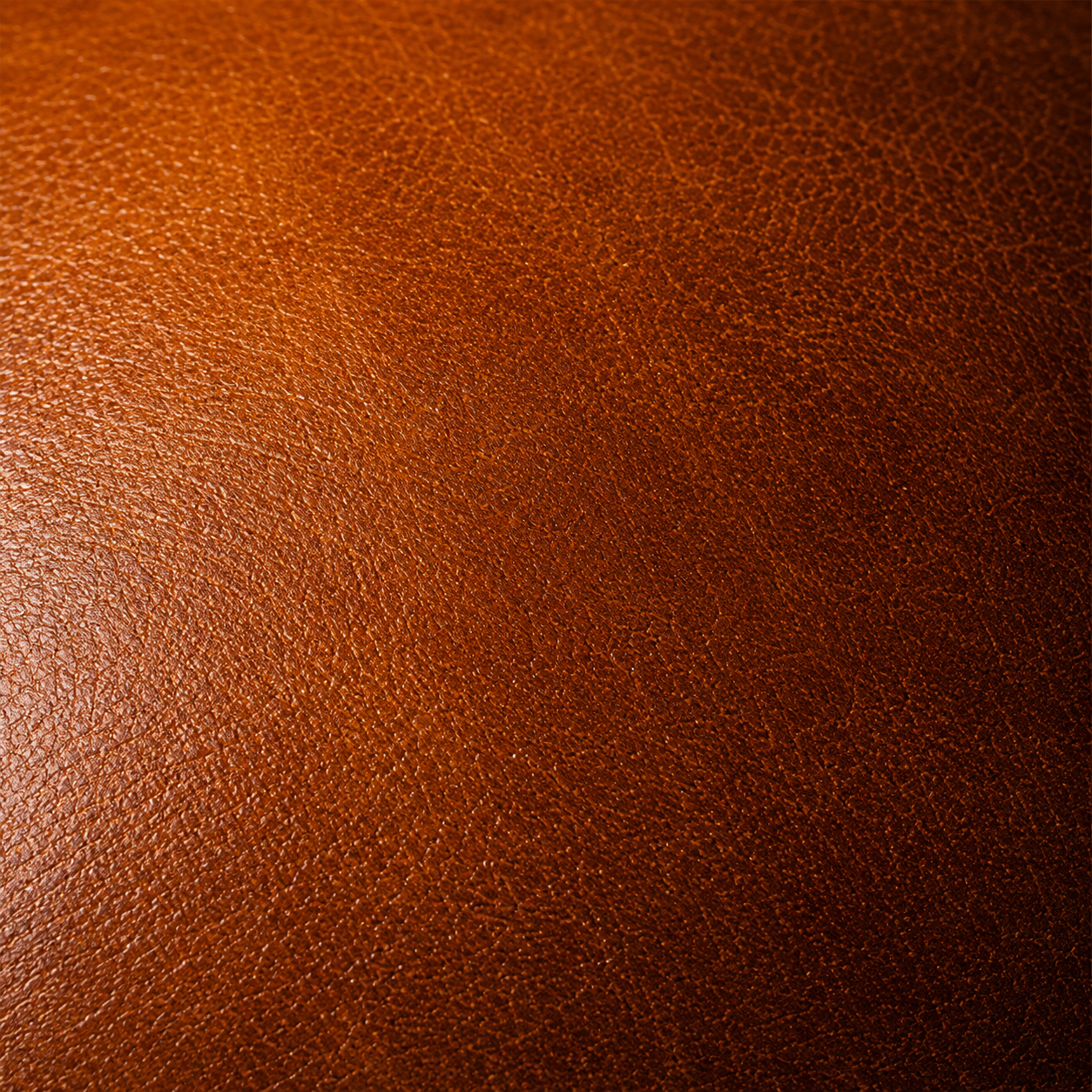Sandstone tan calfskin grain macro