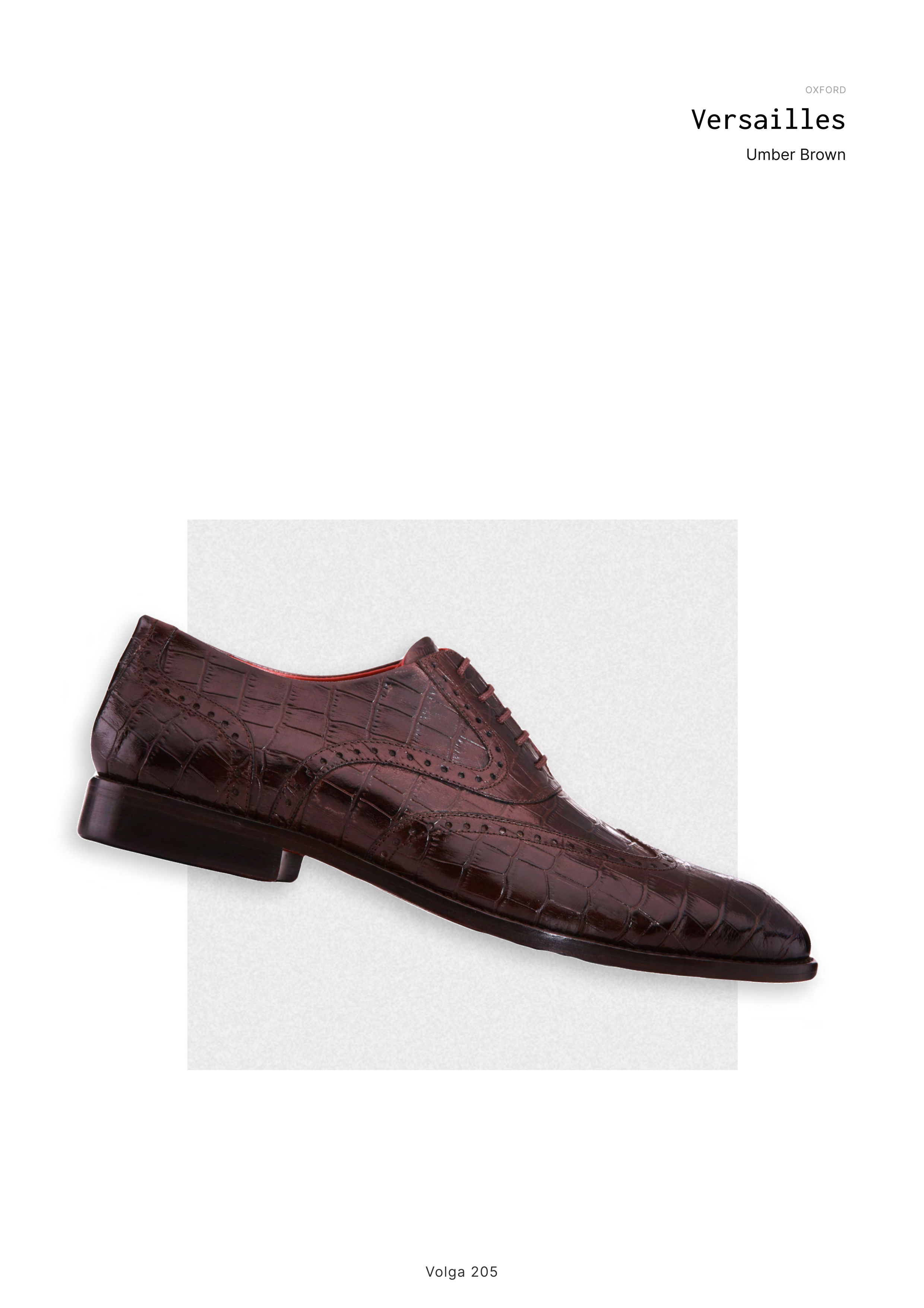 Versailles as catalogued — the studio reference for the Umber Brown full-brogue wingtip oxford on the Volga 205 last