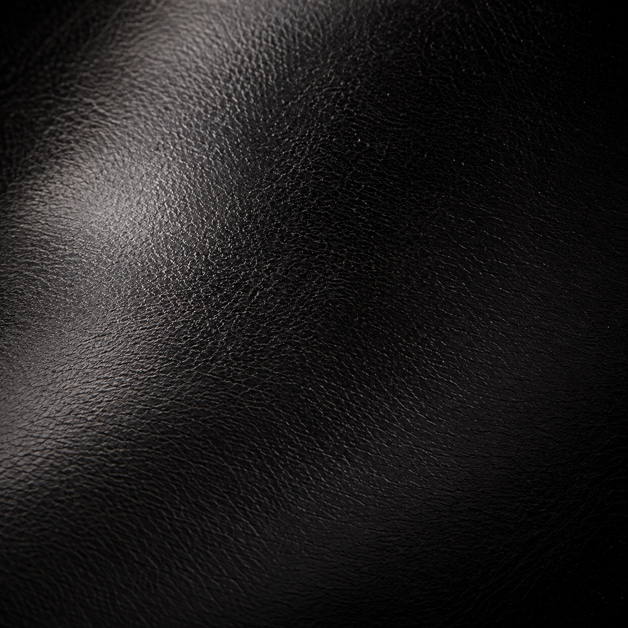 Vanta Black polished calf grain macro