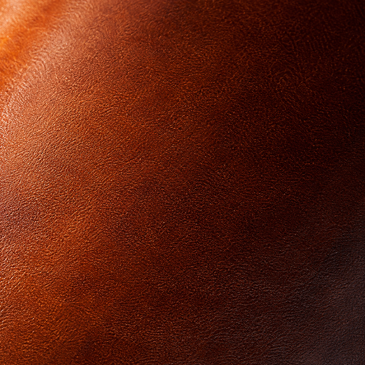 Peanut brown calfskin grain macro