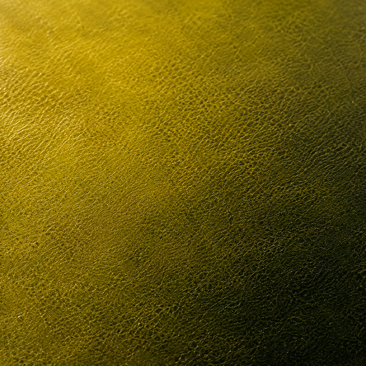 Mantis green leather grain study