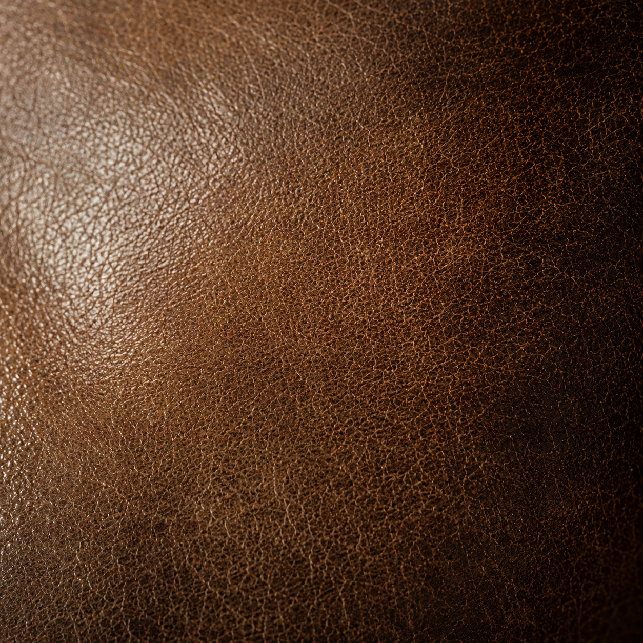 Pebble-grain calfskin macro