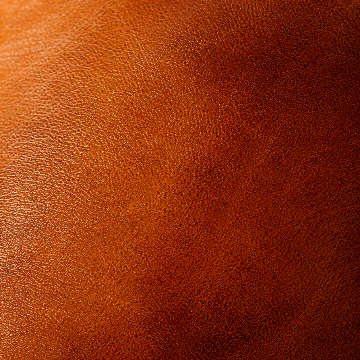 Sandstone tan leather grain macro