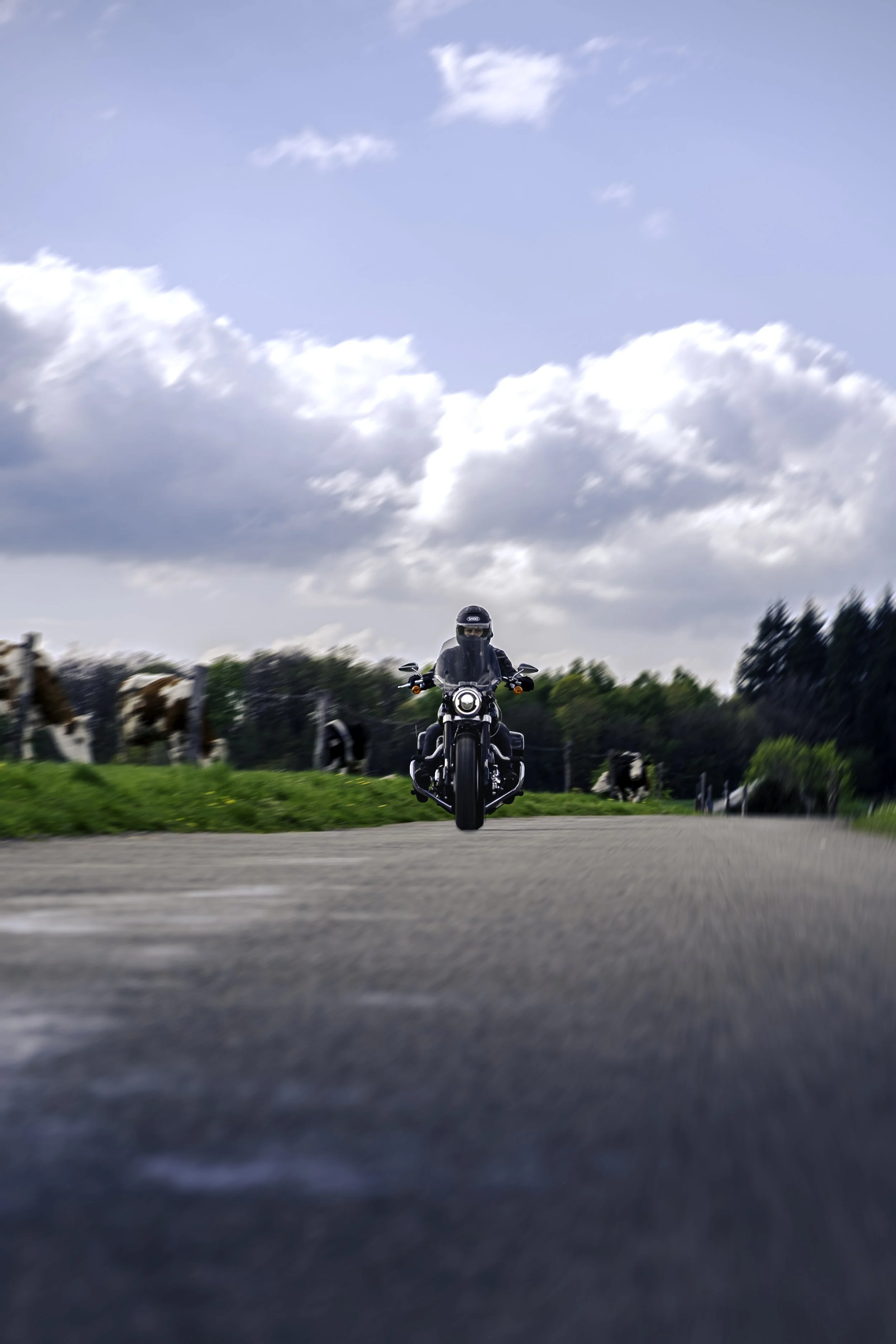 Photographie moto et pilote en Belgique — moto sur route, Marion David photographe Bruxelles