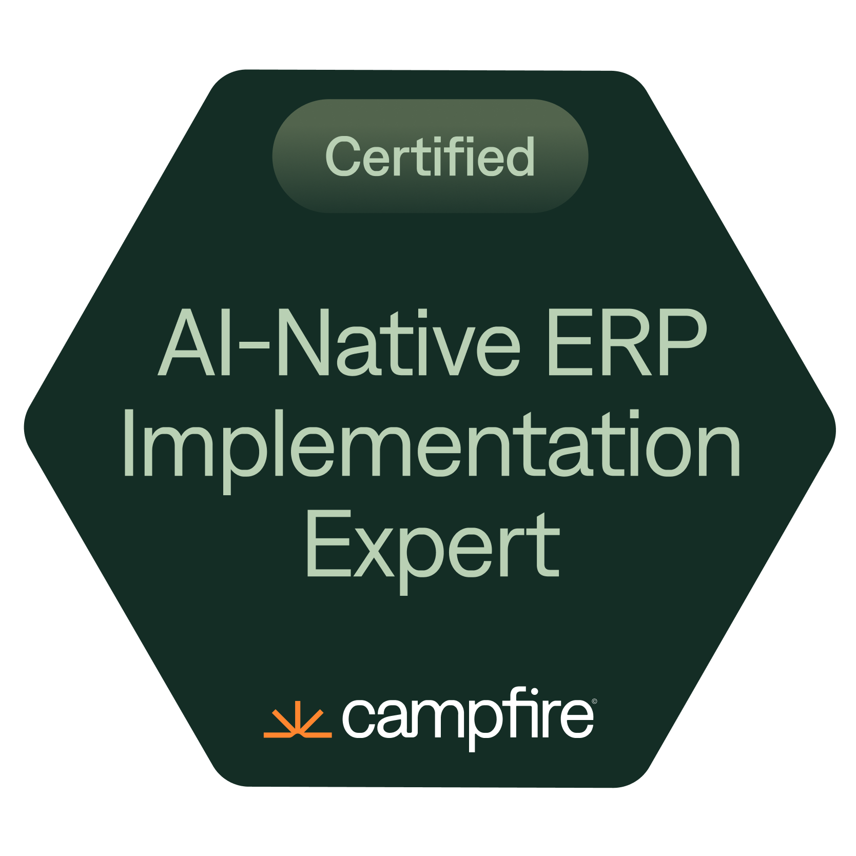Certified AI-Native ERP Implementation Expert