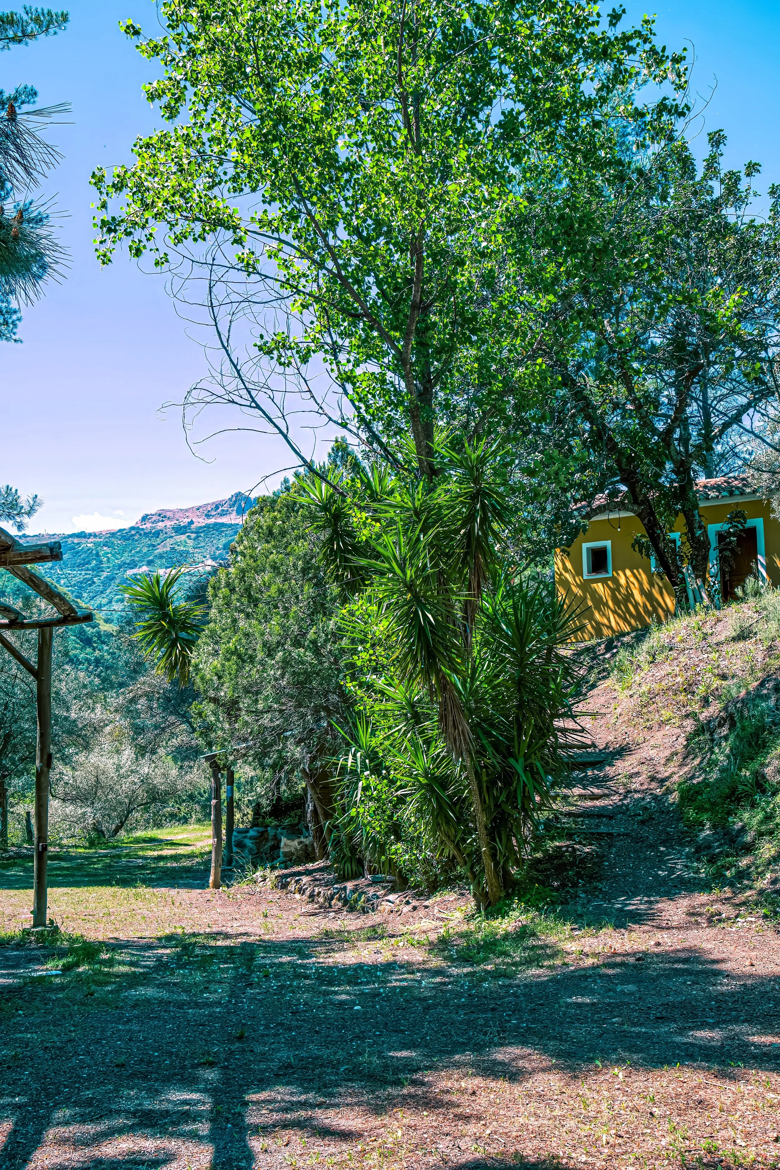 Cabins
