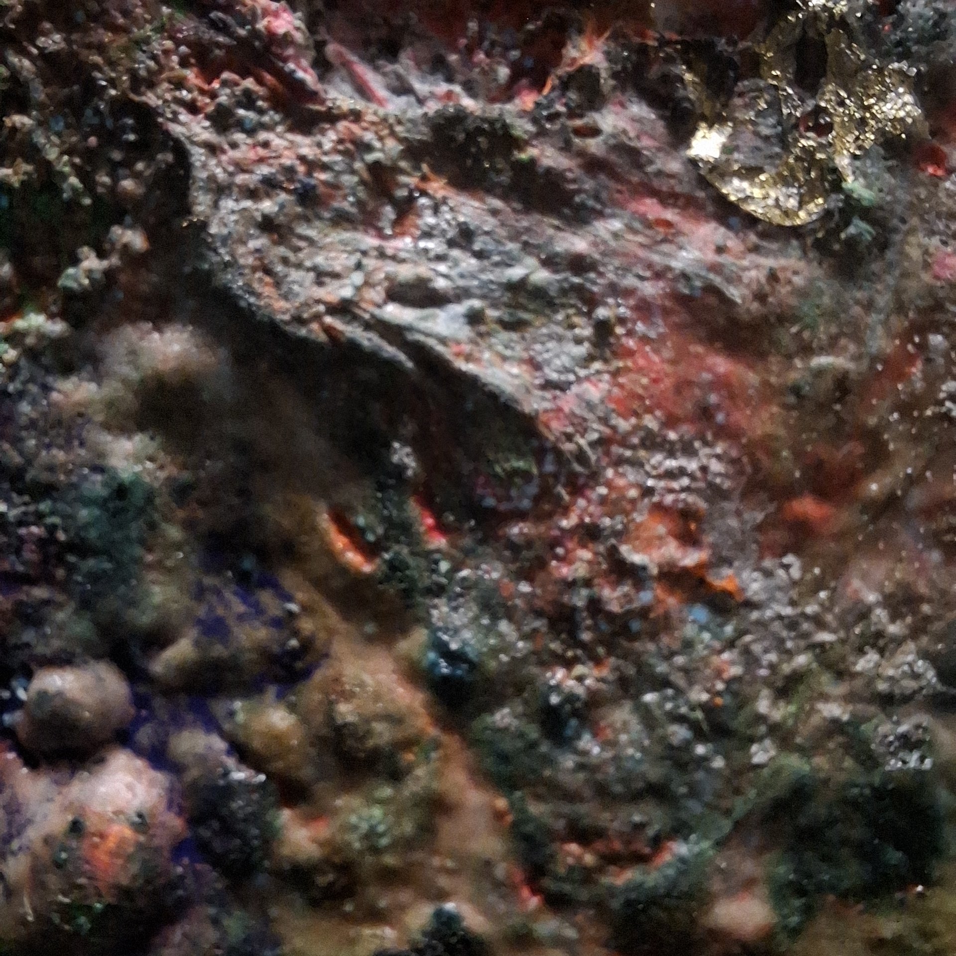 Detail – Farbschicht & Einschluss von „Unter der Haut des Sediments“