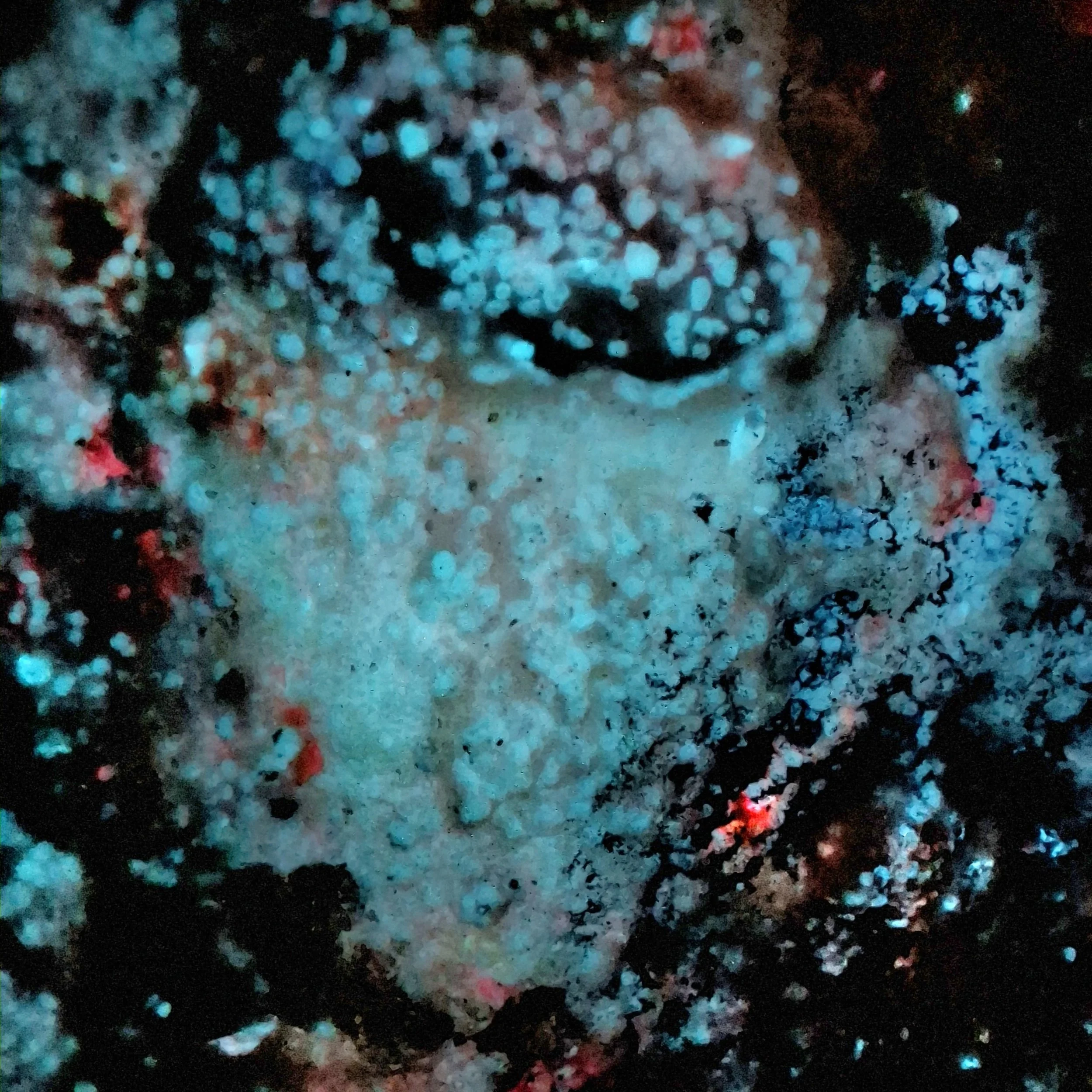 Nachtwirkung – Leuchtpigmente im Detail von „Unter der Haut des Sediments“