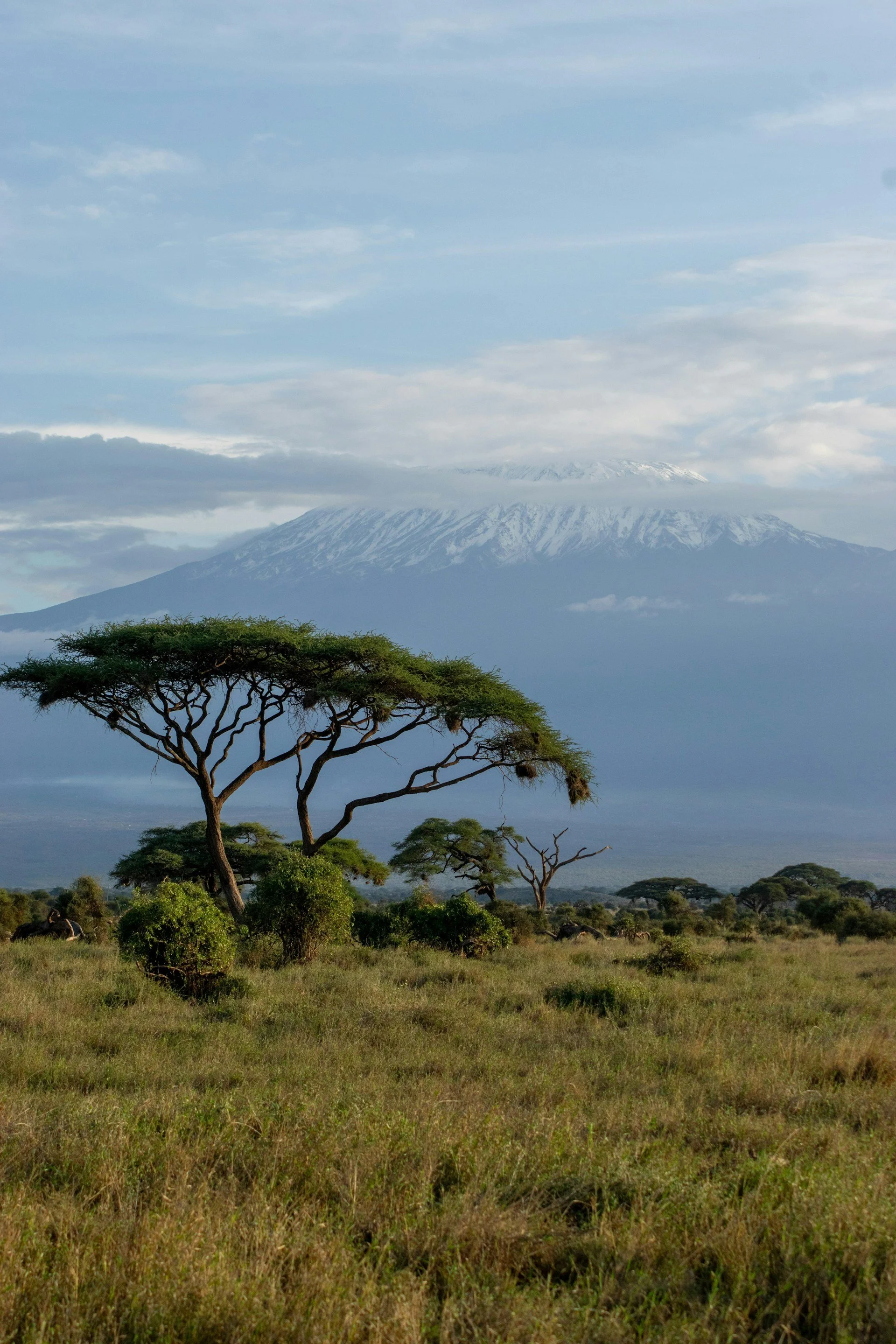 Kenya