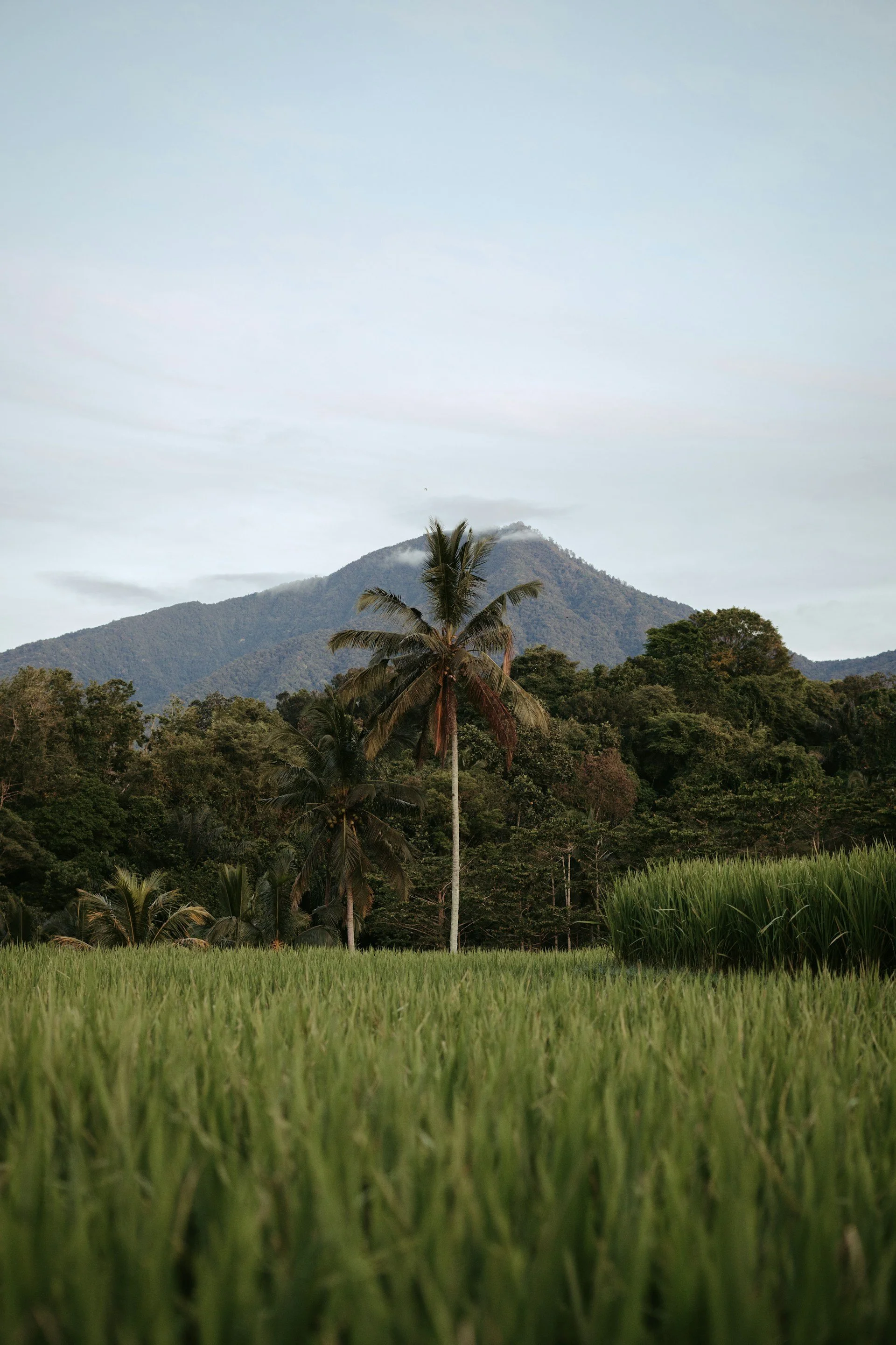 Indonesia