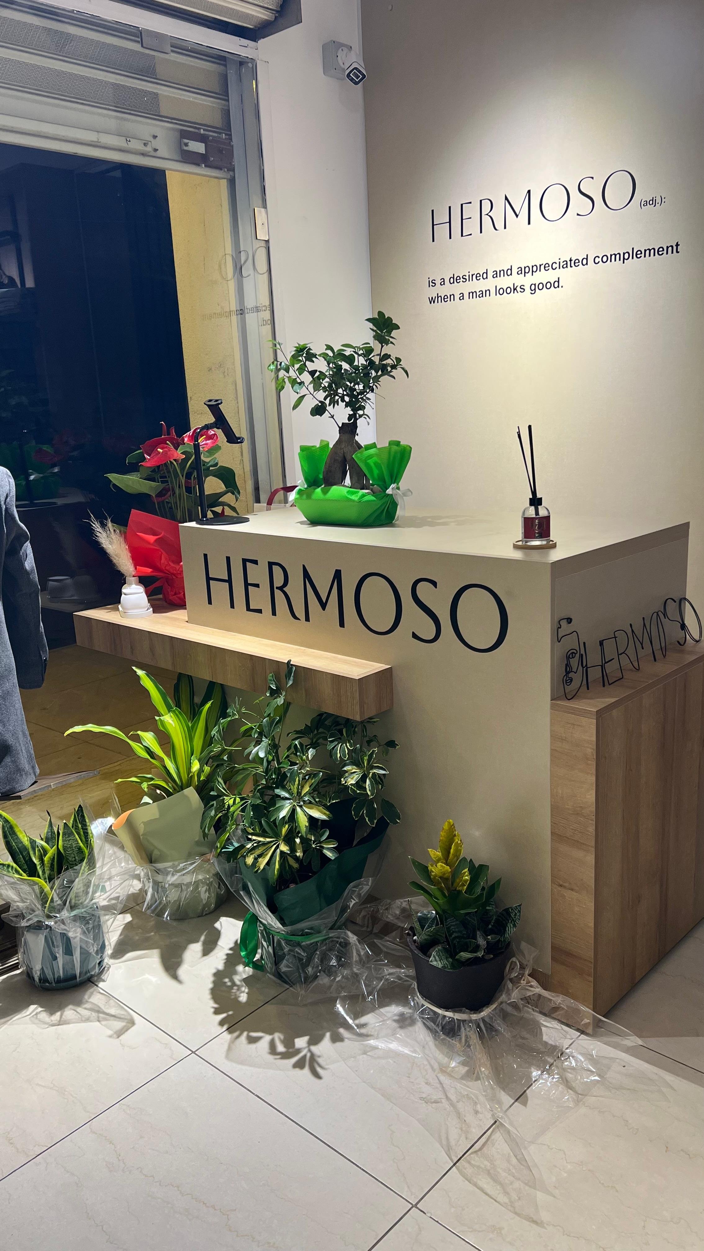 Hermoso — completed shop