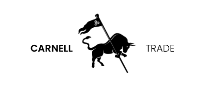 Client Logo 31