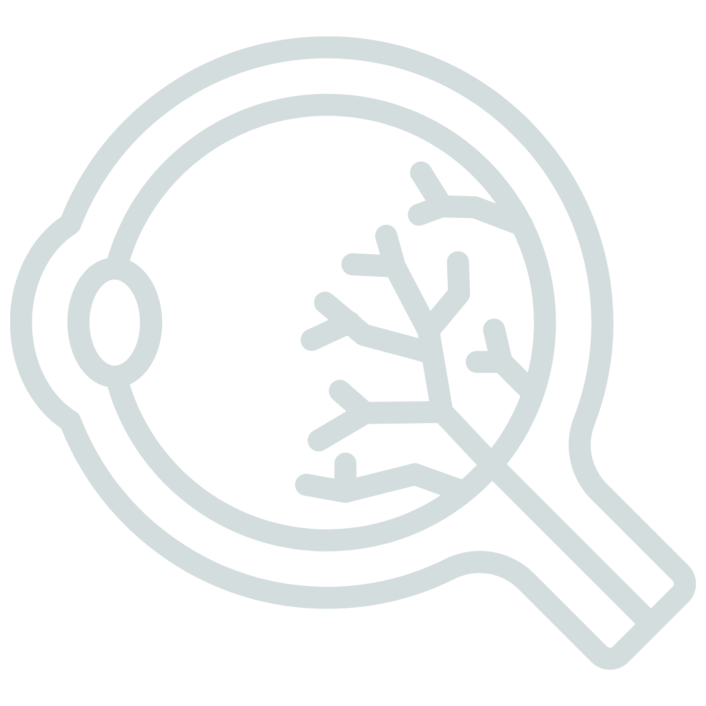Visual System