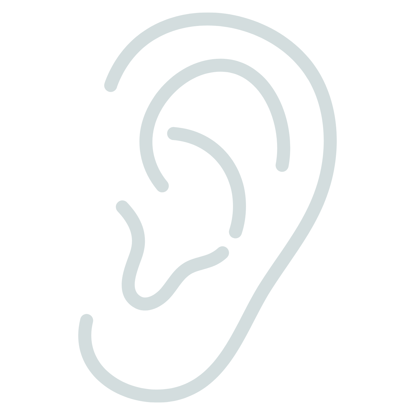 Auditory System