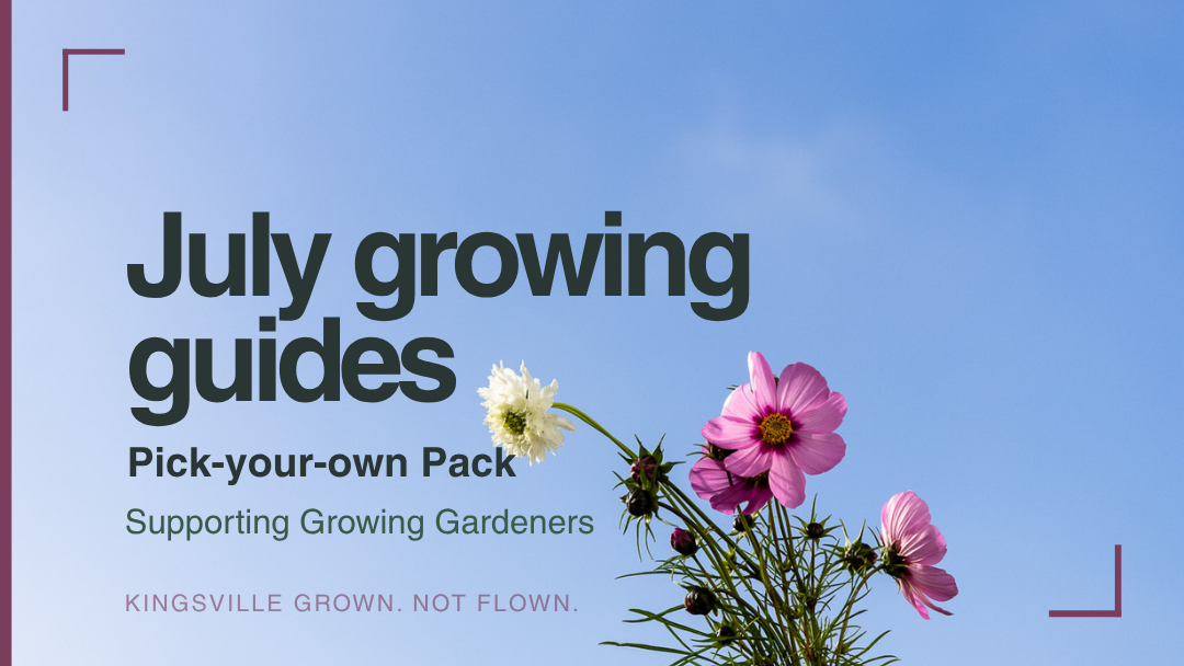 July 2026 seedling pop-up