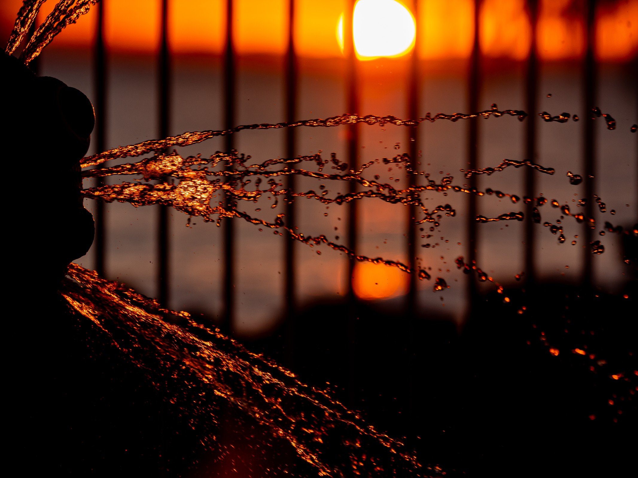 Drops of water caught in warm orange sunlight, with the low sun beyond.
