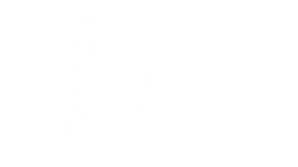 Presidential Innovation Fellows