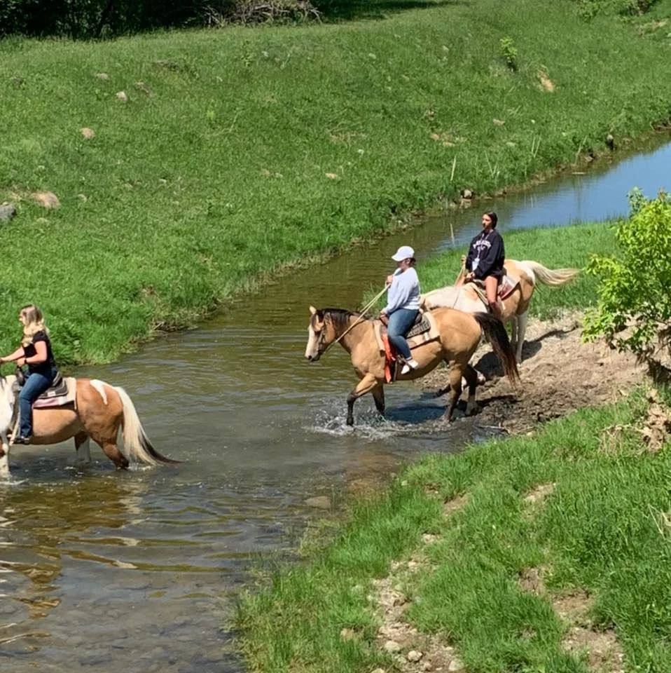 Knoblock Riding Stable