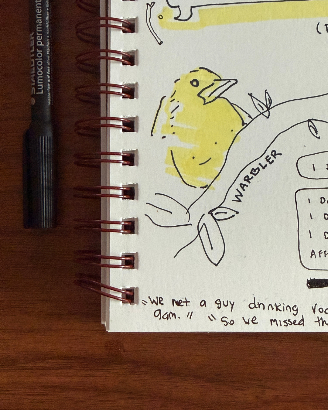 bird field notes photo