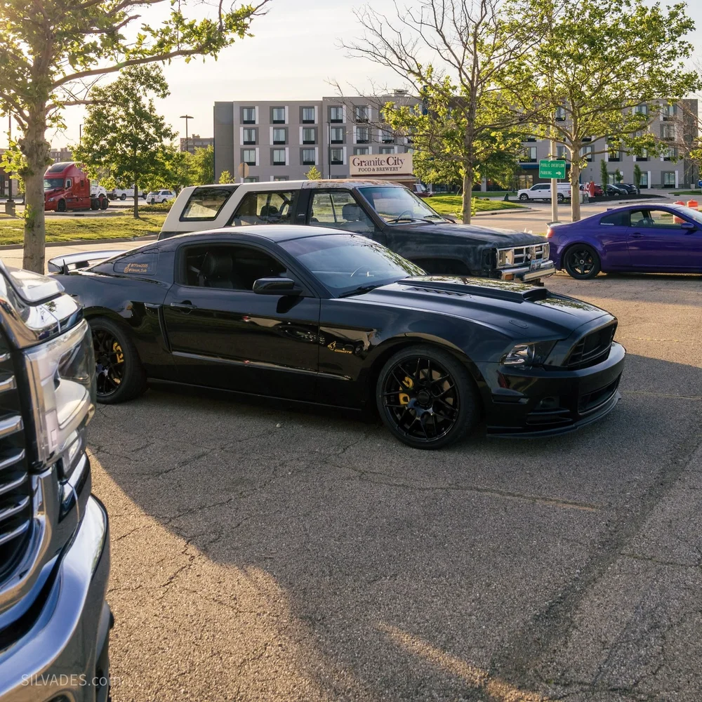 Black Ford Mustang in low evening sun