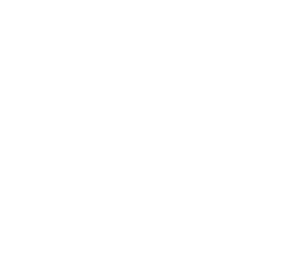 DeKalb REALTORS Pinnacle Award