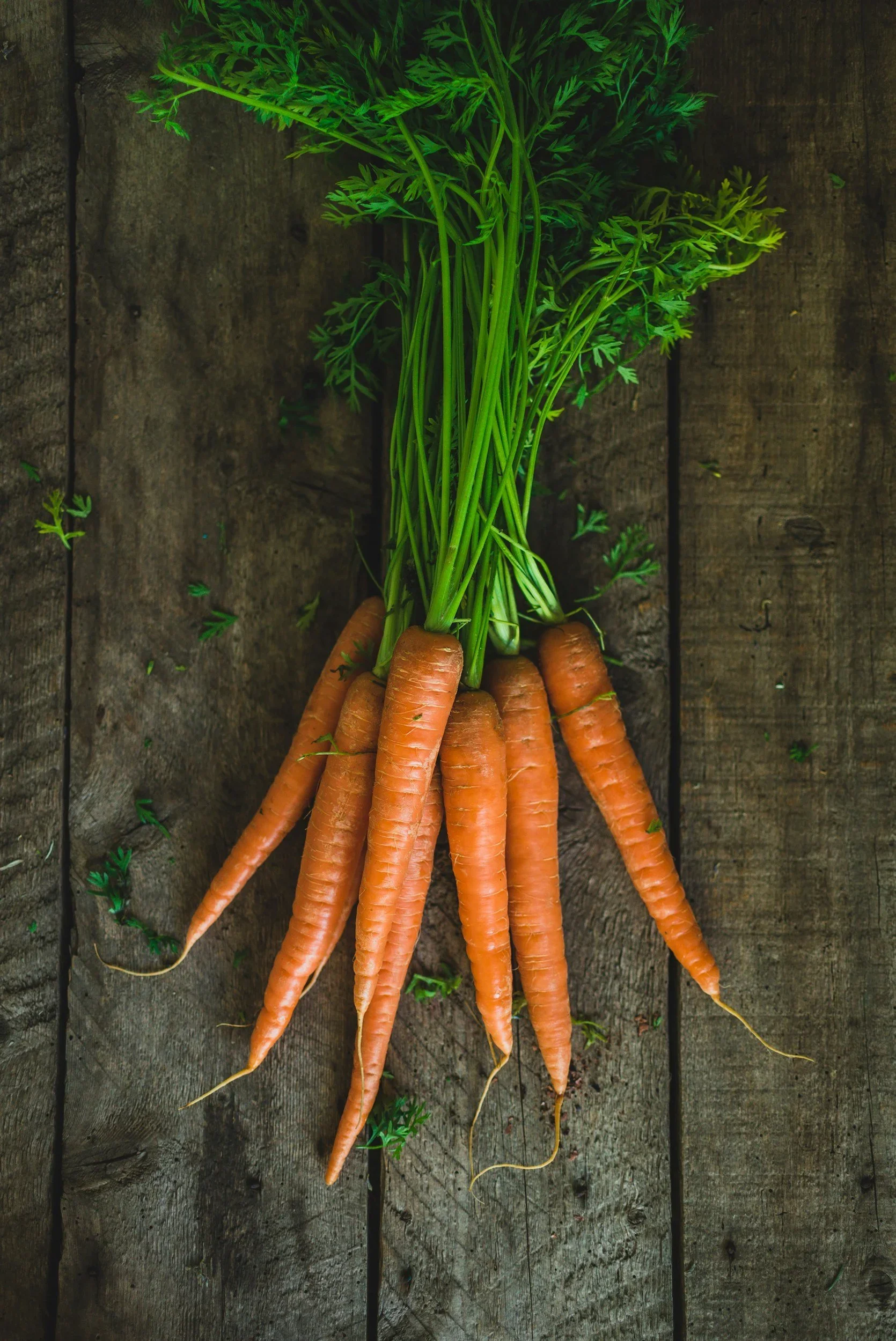 Fresh carrots on rustic wooden surface