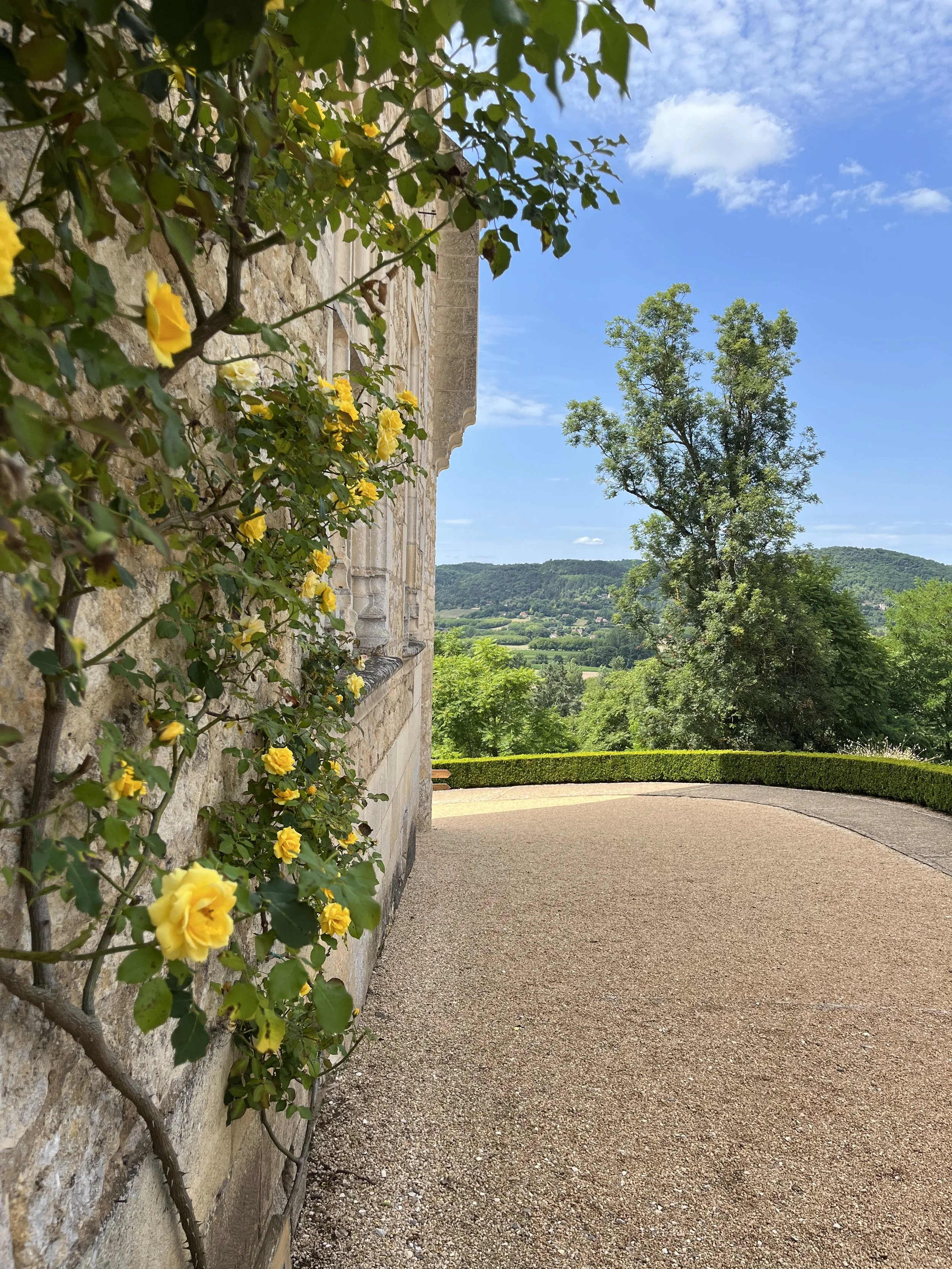 French countryside