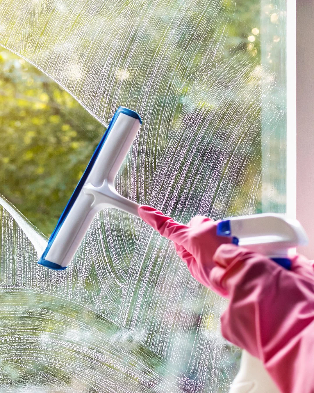 Professional Window Cleaning