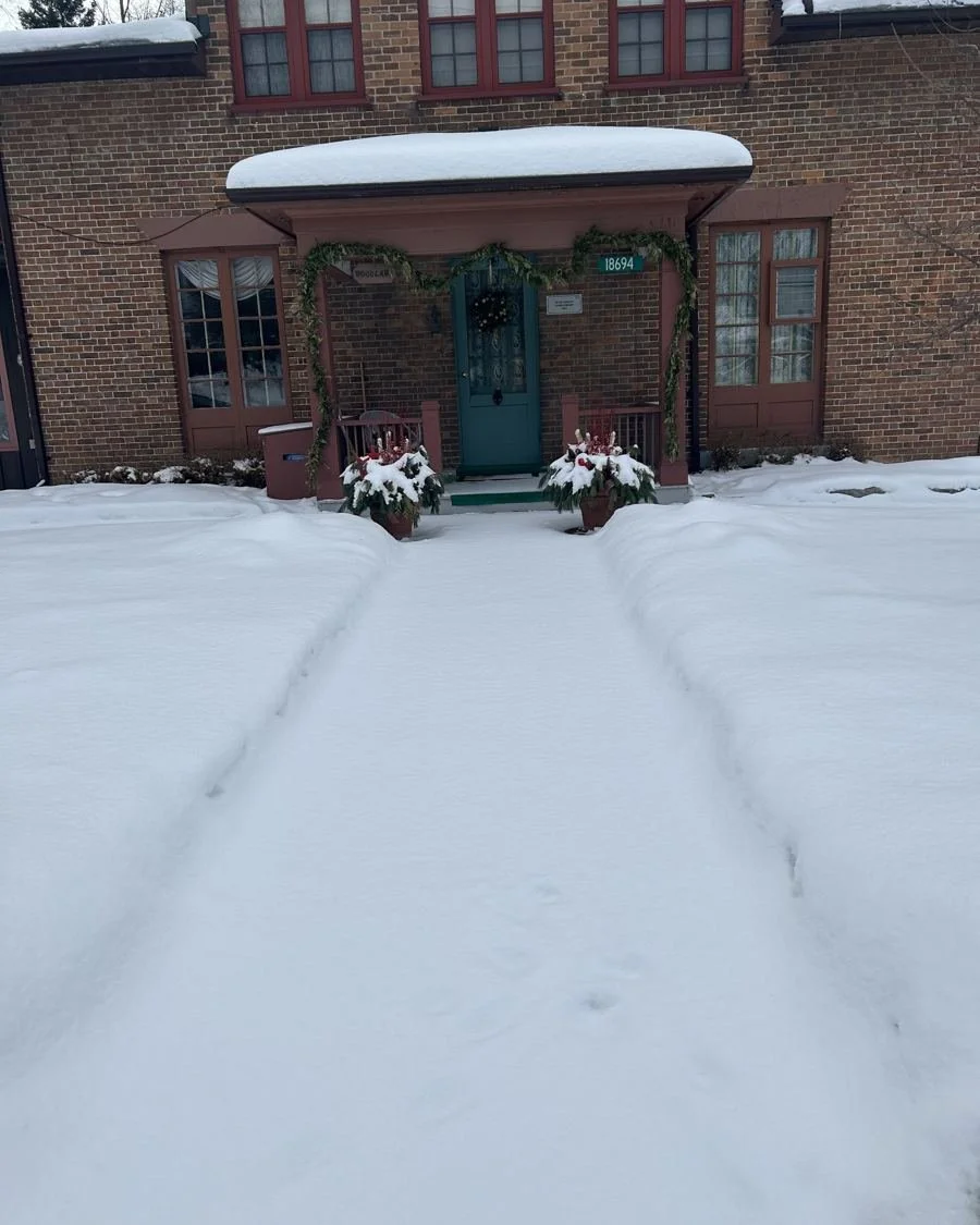 Snowed-in brick walkway before clearing