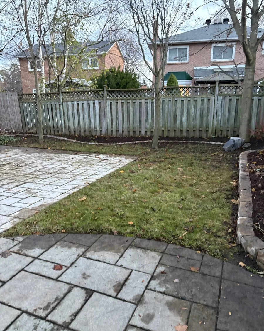 Interlock patio and walkway beside a lawn in Newmarket