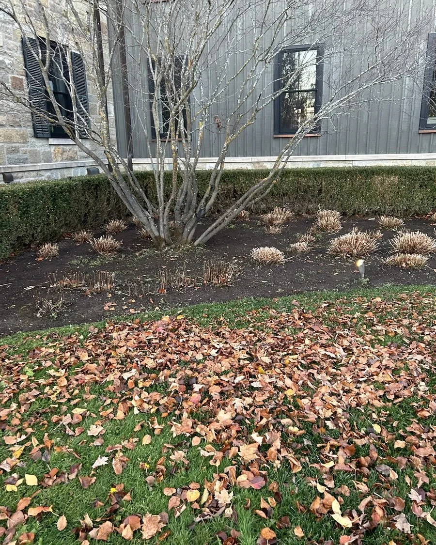 Leaves covering a lawn beside a garden bed before a fall cleanup