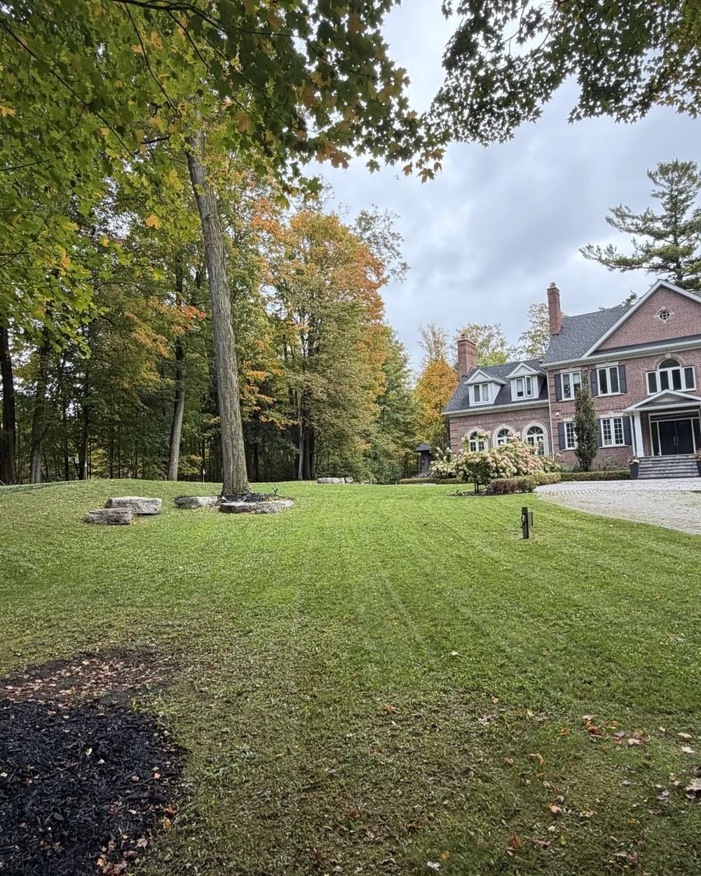 Large green lawn maintained by QuickCutz