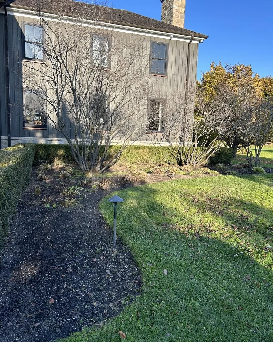 Cleaned bed with fresh mulch