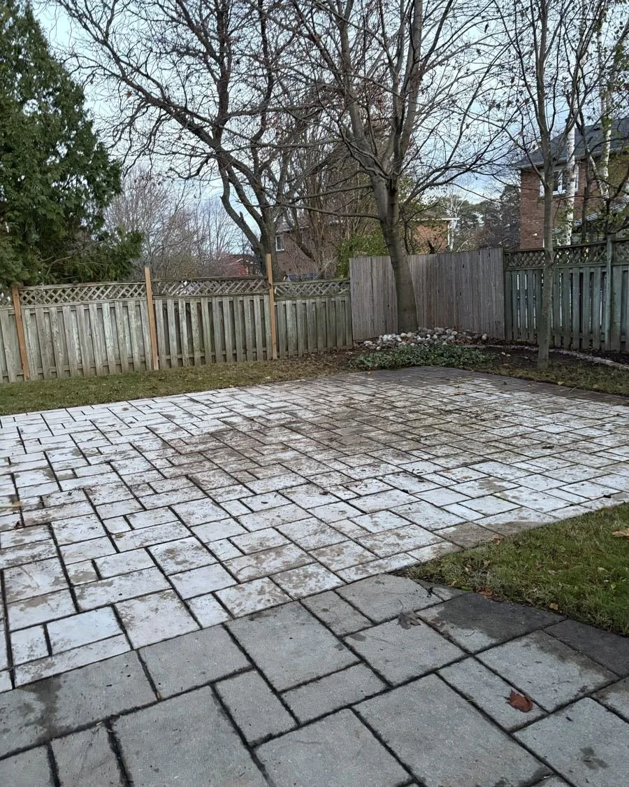 Same patio cleared after QuickCutz fall cleanup