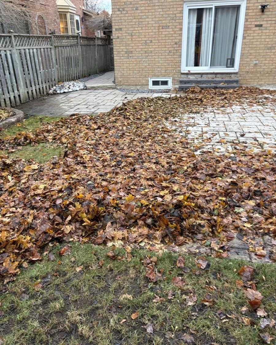 Patio buried in fall leaves before cleanup