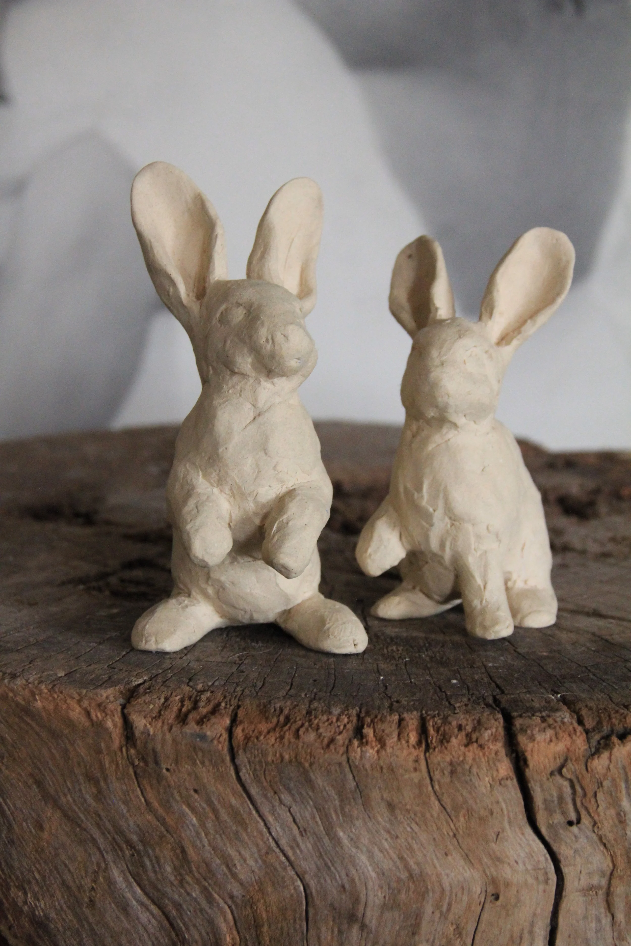 Bunnies by Gabrielle LoTurco