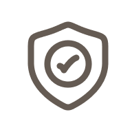 Security System Icon