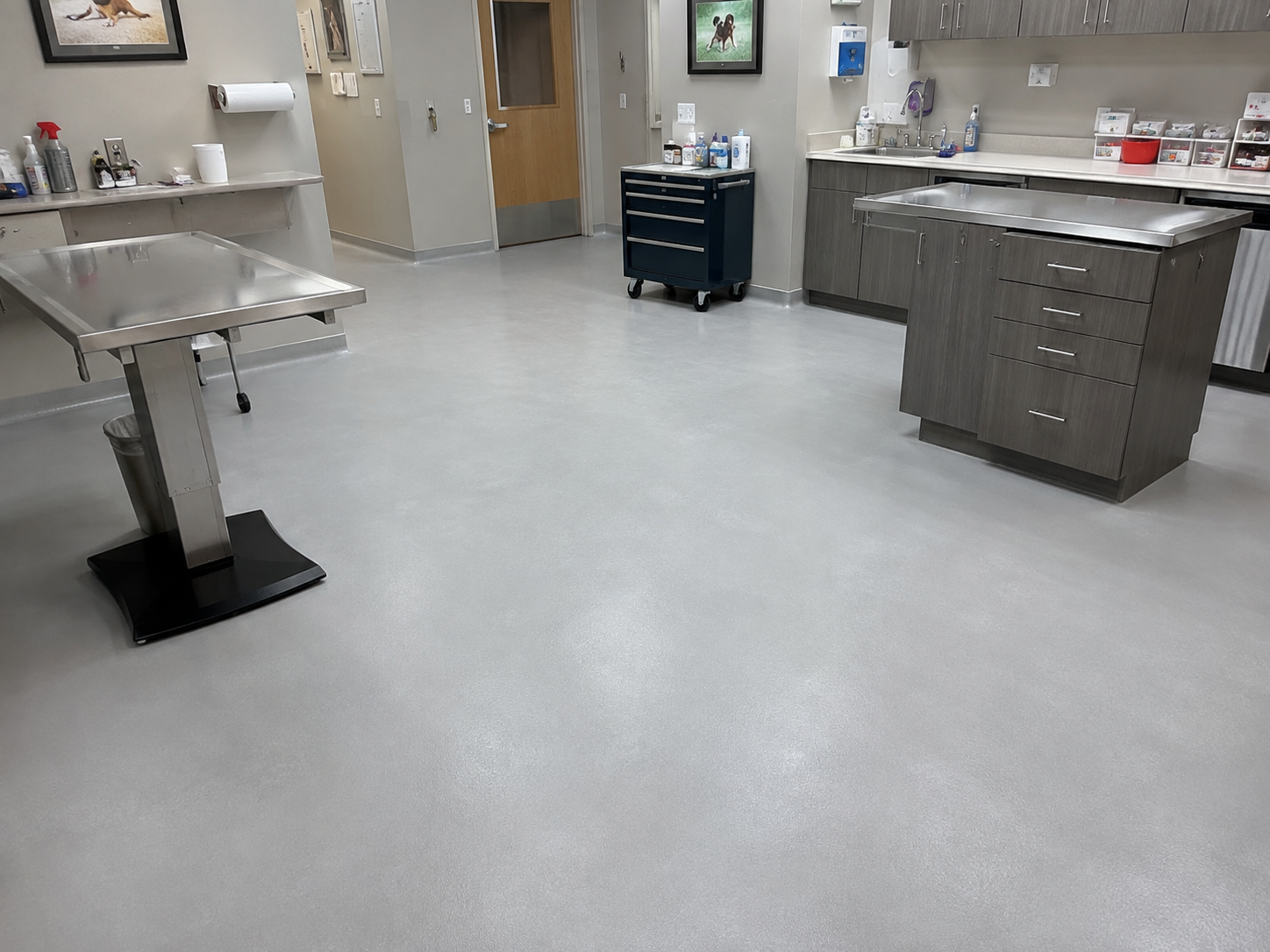 Medical facility epoxy flooring project