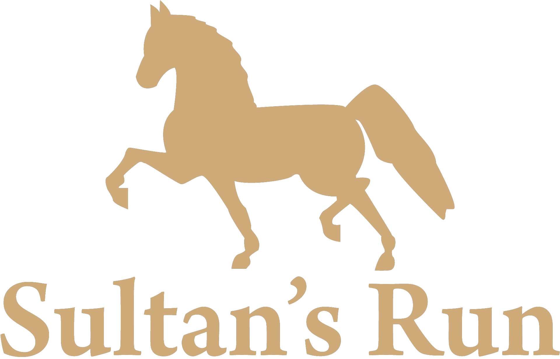 Sultan's Run