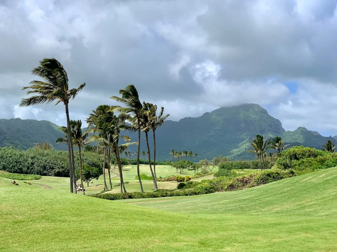 Hawaiian Islands