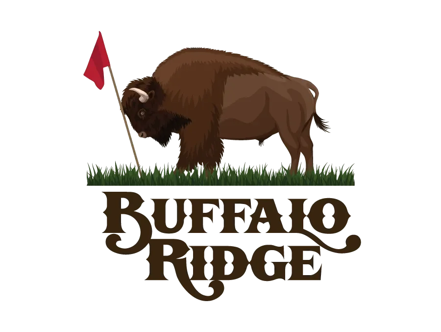 Buffalo Ridge Springs