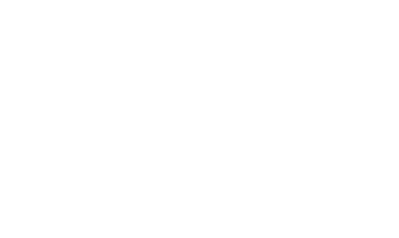 Holy Pals logo